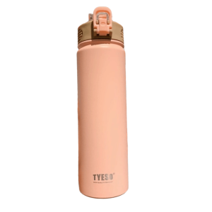 bouteille inox élégante