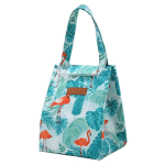 Lunch Bag Flamand